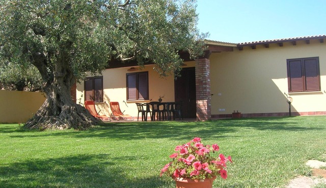 THREE-ROOM APARTMENT for those who love tranquility, nature and hospitality.