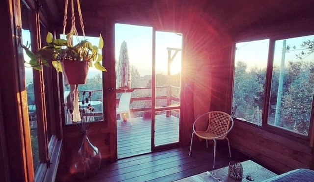 Treehouse in the Olive Grove | Private Bathroom & Outdoor Shower