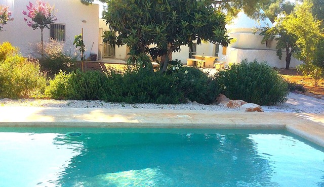 Trullo del Gran Pino, paradise in the heart of Puglia. Discounted rates!