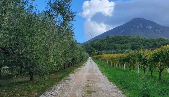 Unique countryside loft room, near Naples