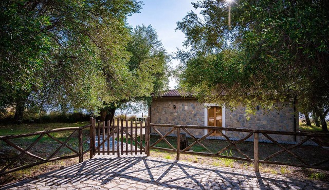 Vacation home for 6 guests with 70m² in Marina di Pisciotta (162593)