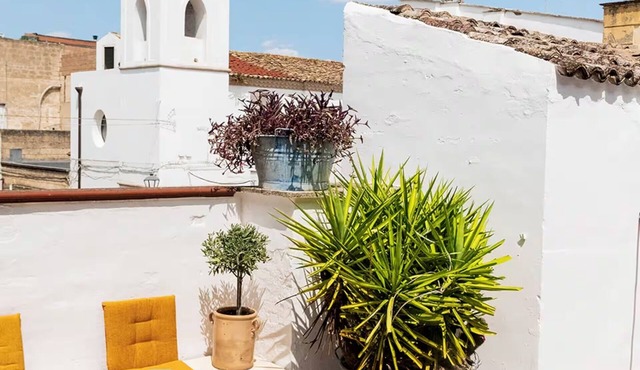Vacation home in the historic center
