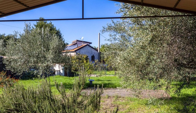 Vigna dell`Etna - Piedimonte Etneo