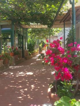 Villa dei fiori B&B