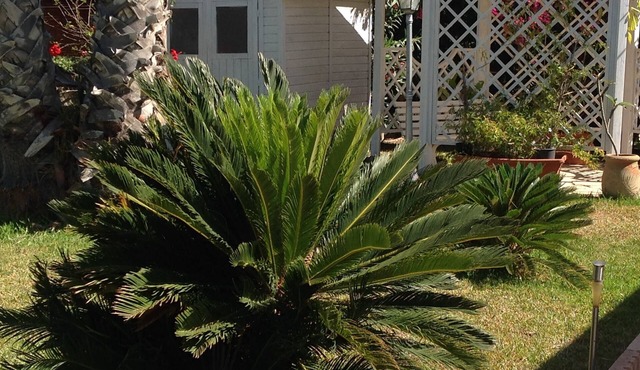 Villa in ATHENA RESORT