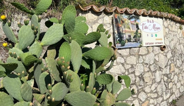 Villa Marina B&B 4