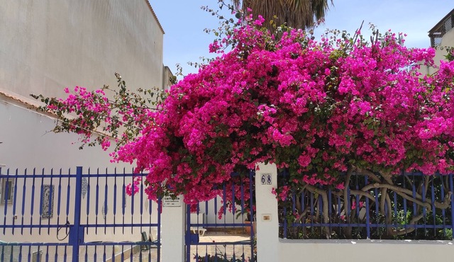 Villa near the beach with garden, private parking for families,groups & climbers
