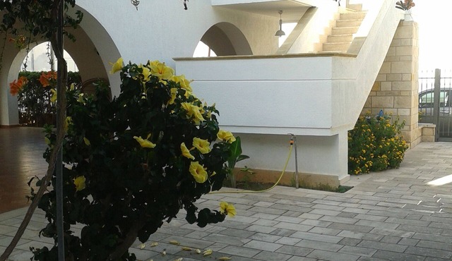 Villa near the beach and the center of Porto Cesareo