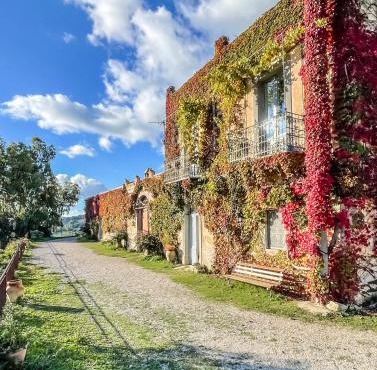 Villa Pietralunga con Vista sul bosco