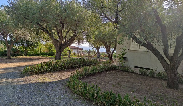 Villa with fenced garden and veranda overlooking the sea The Cape Cliff