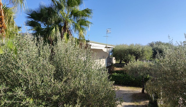 Villa with veranda overlooking the sea Capo Vaticano Holiday homes The Cape Cliff