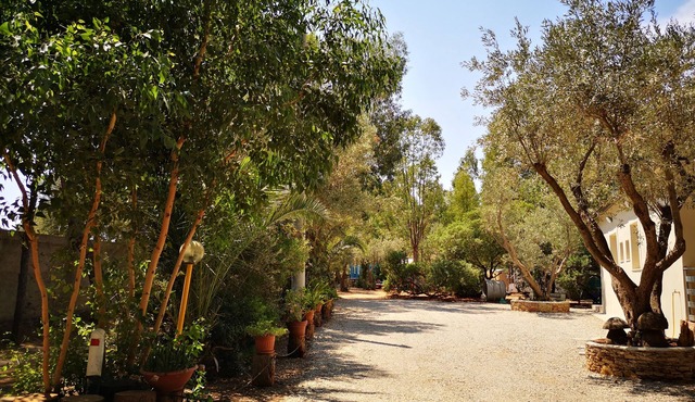 Village Camping Fico d'India