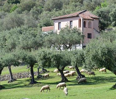 Villaggio rurale San Martino