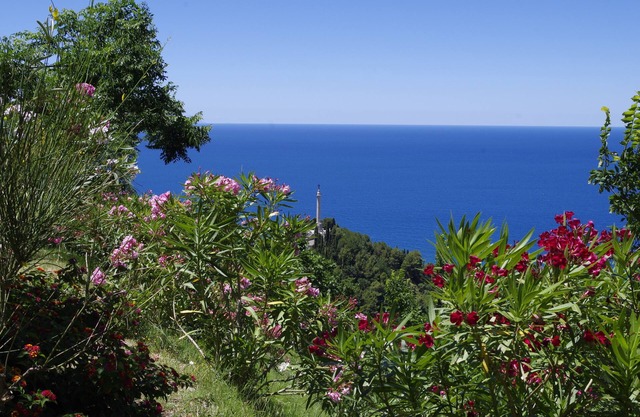 Village Of Calabria Ecotourism Tradition Culture Sea Nature 
