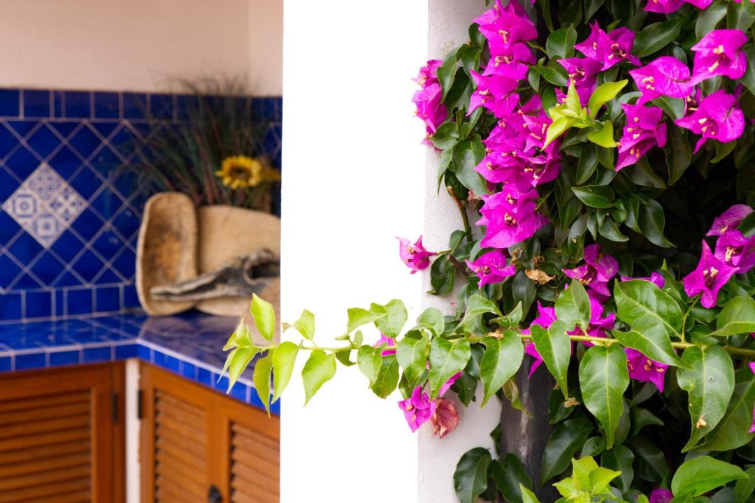 Aglientu House | Villamarina