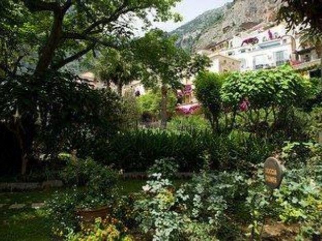 Photo of Others in Positano City Centre
