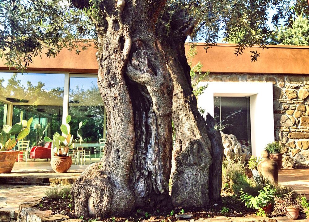 Photo of Buildings in Capaccio-Paestum