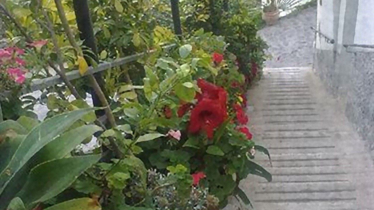 Photo of Others in Praiano