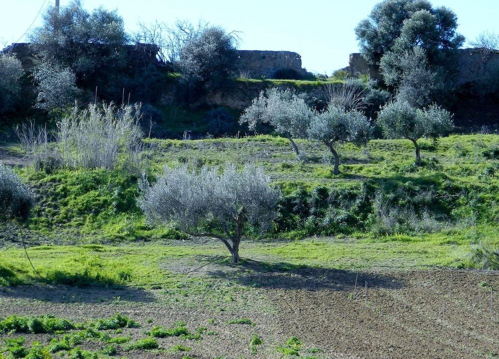 Photo of Others in Villaseta