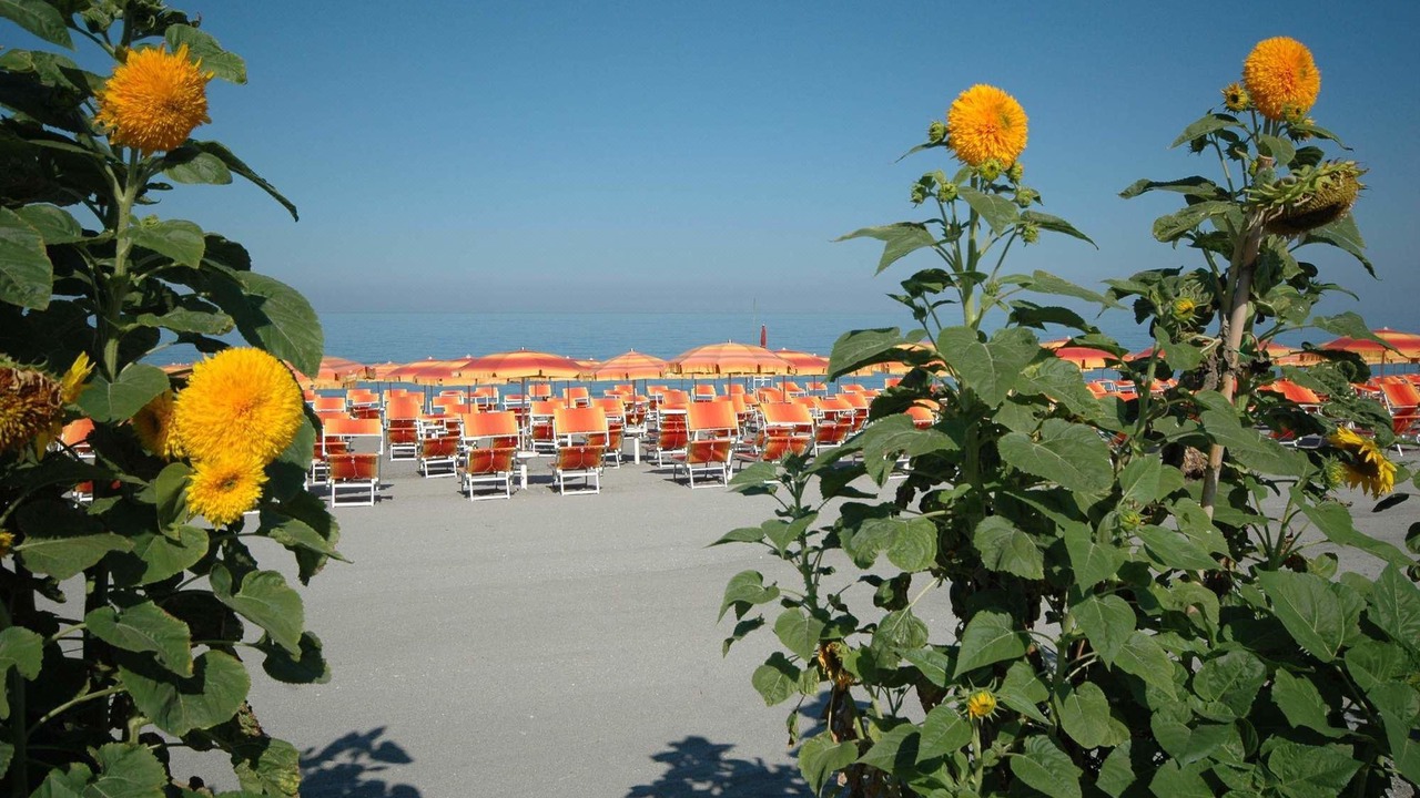Photo of Outdoor in Amantea