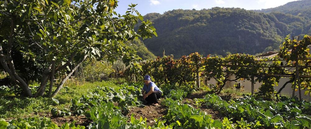 Photo of Outdoor in Fiumefreddo Bruzio