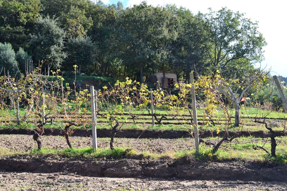 Photo of Outdoor in San Lucido