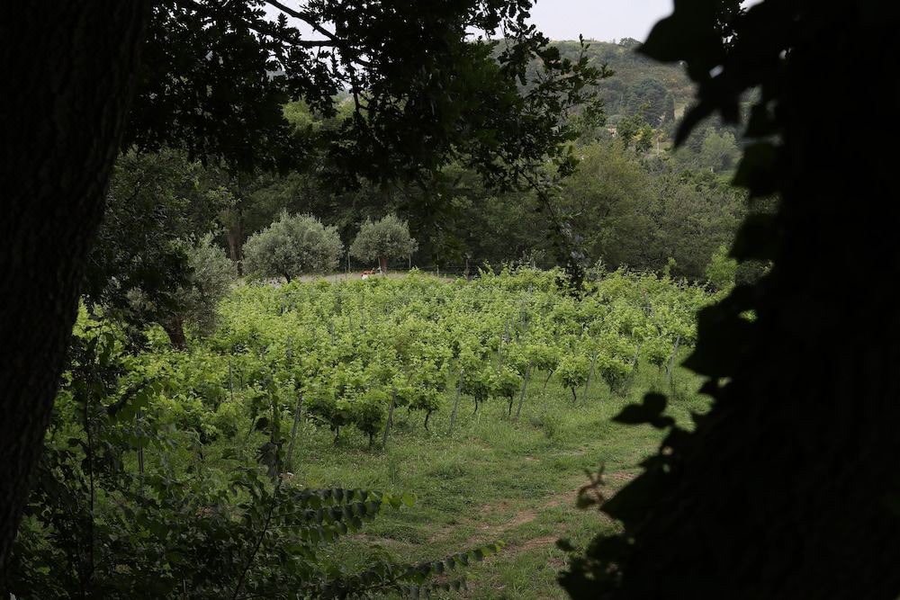 Photo of Outdoor in San Lucido