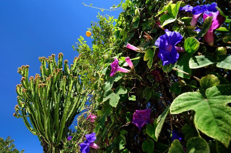 Photo of Outdoor in Fattoria di Torresena