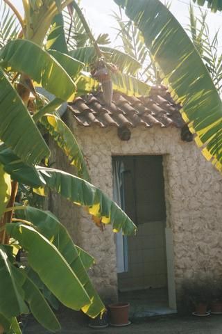 Photo of Buildings in Alani