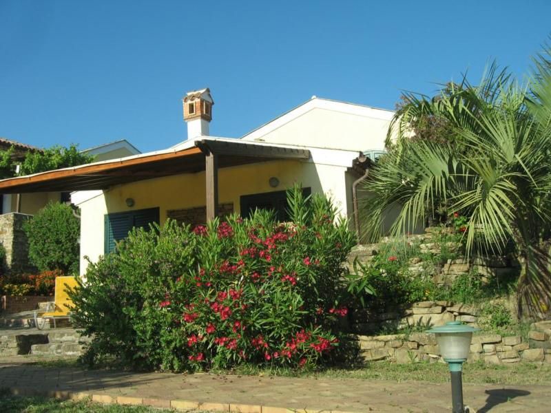 Photo of Buildings in Alani