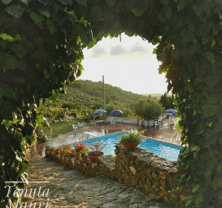 Photo of Others in Nocera Terinese