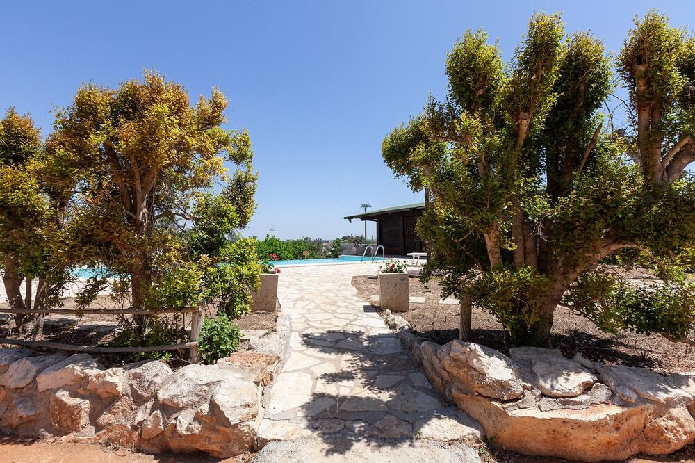Photo of Outdoor in Collemeto