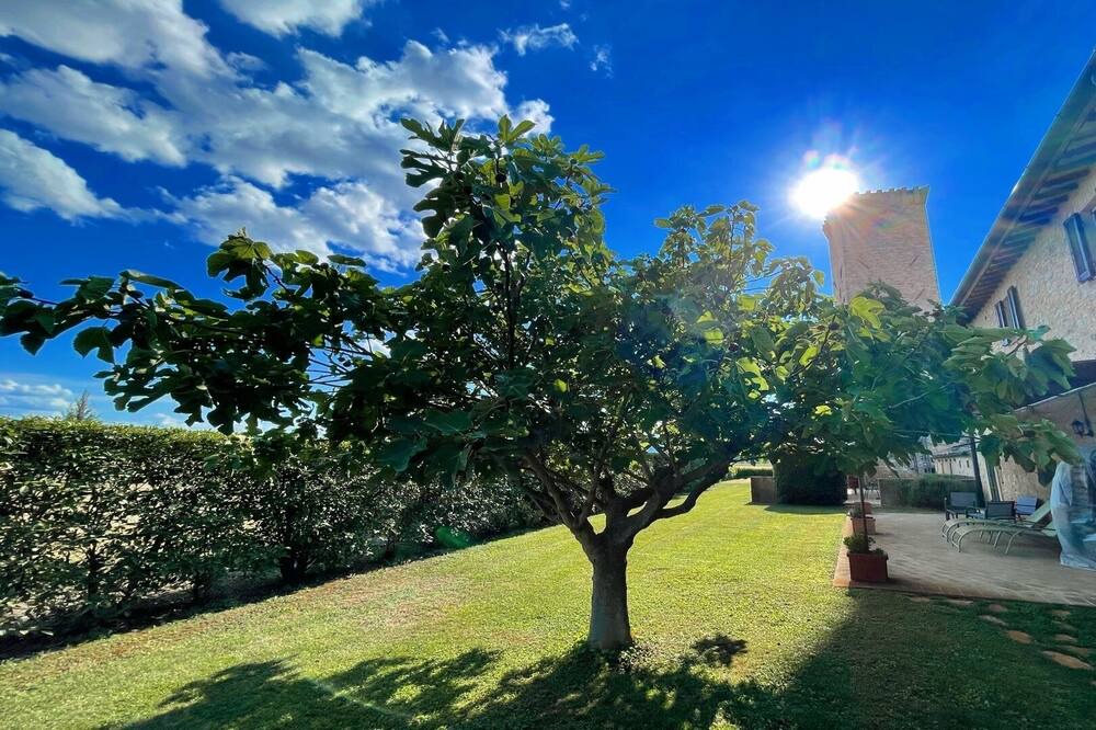 Photo of Outdoor in Limiti