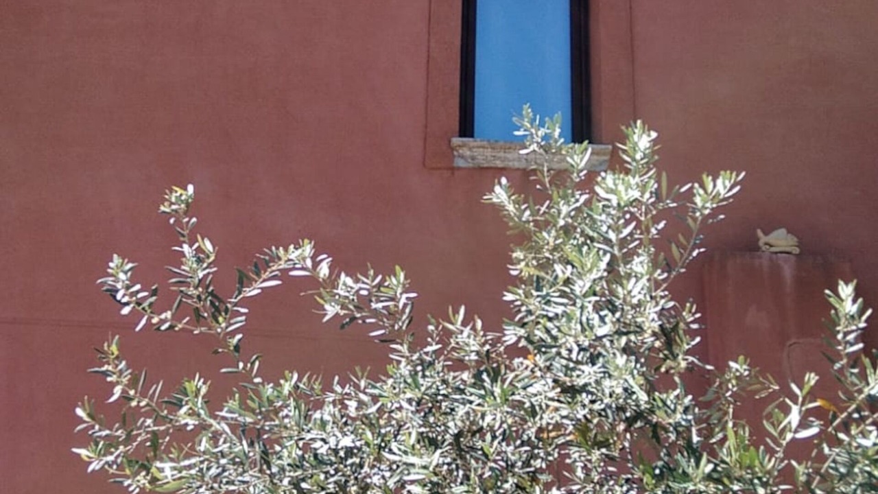Photo of Outdoor in Menfi