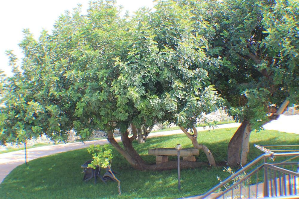 Photo of Outdoor in Casa Papa