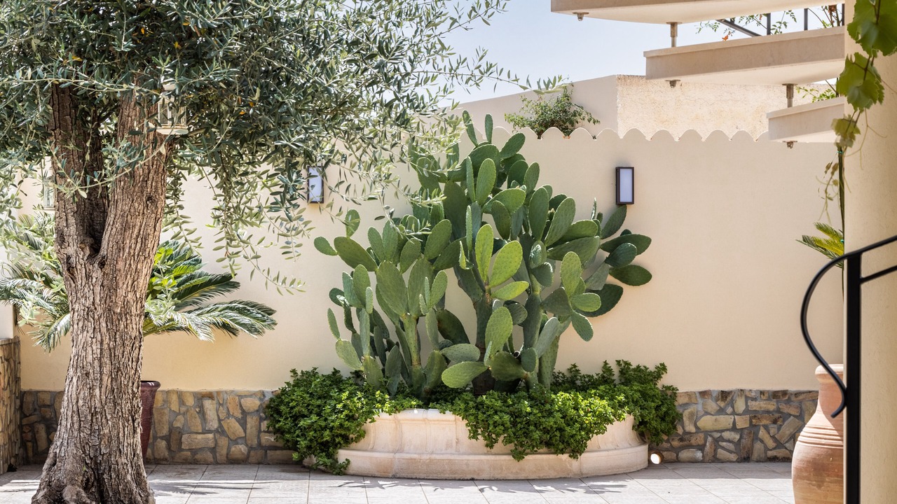 Photo of Outdoor in Noto Marina