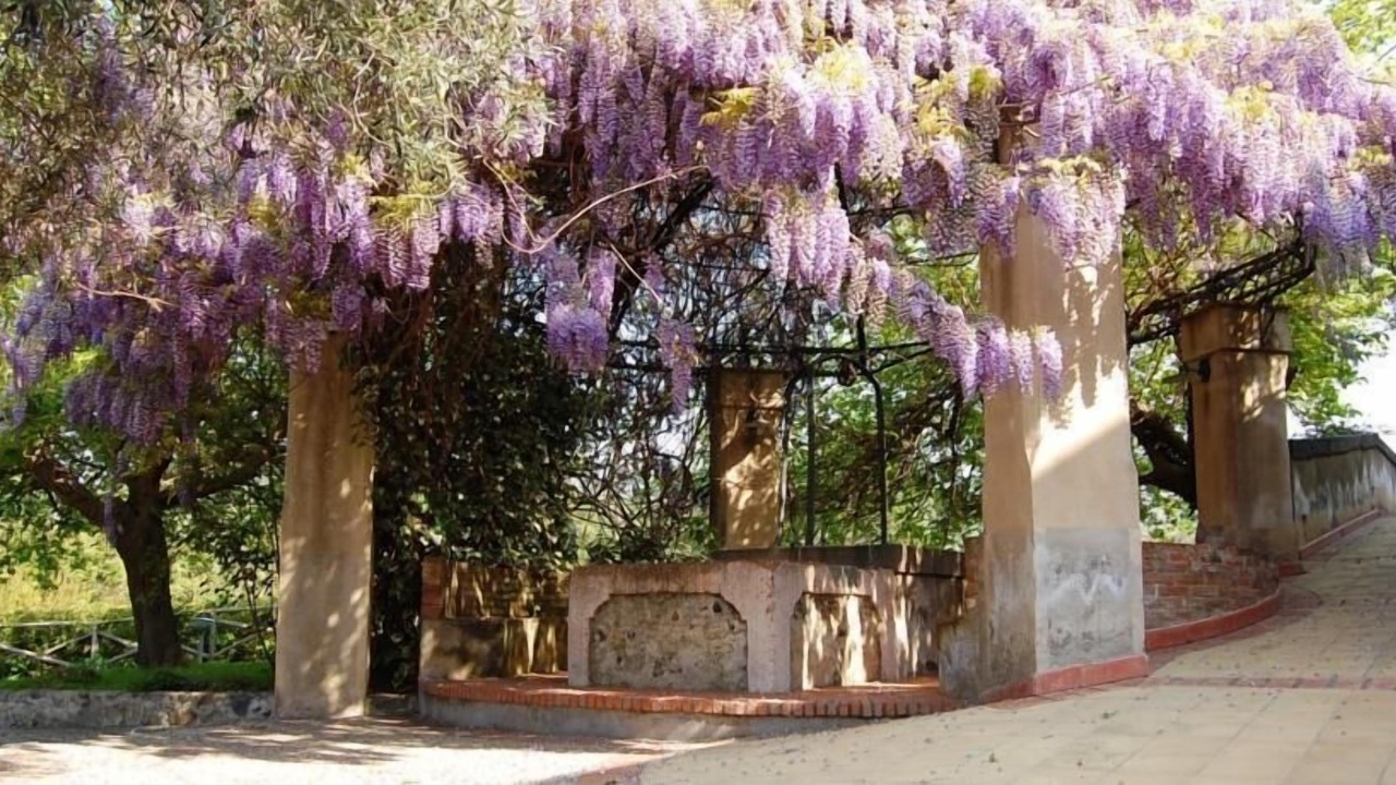 Photo of Outdoor in Calatabiano