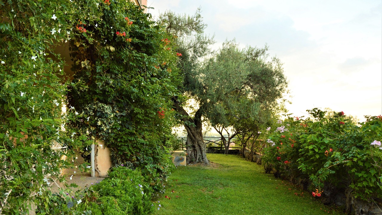 Photo of Outdoor in Calatabiano