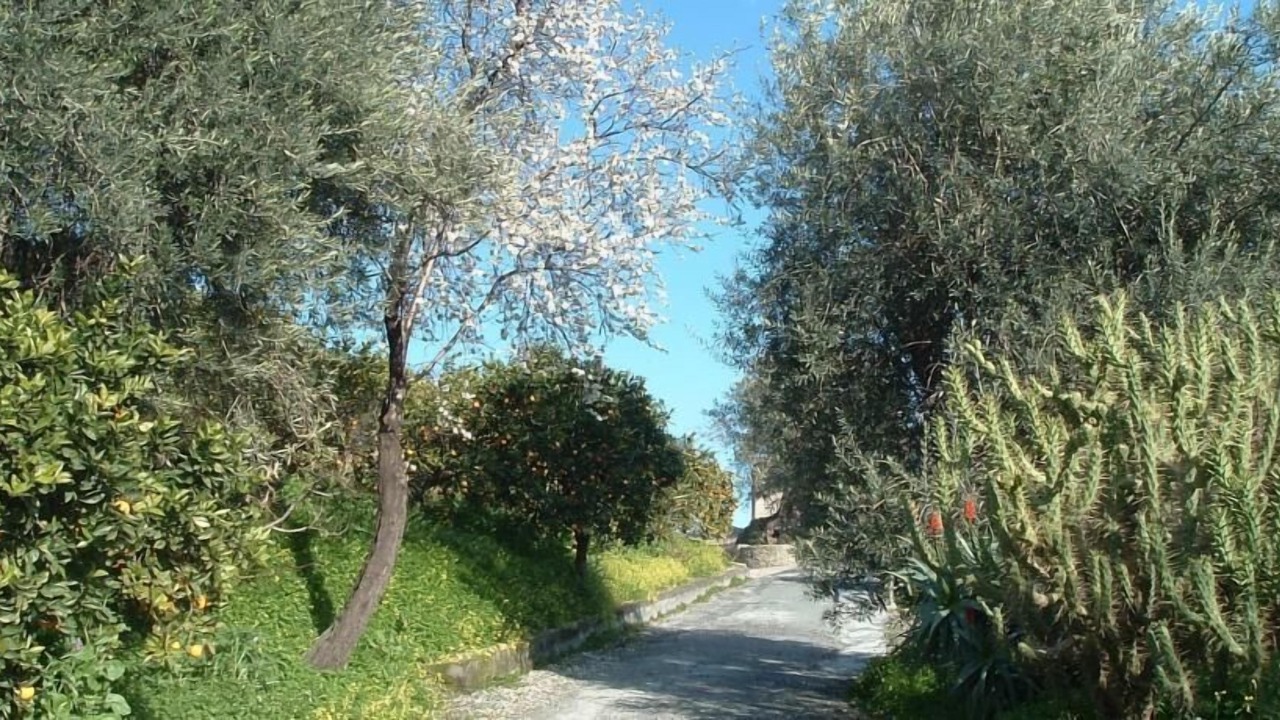 Photo of Outdoor in Calatabiano