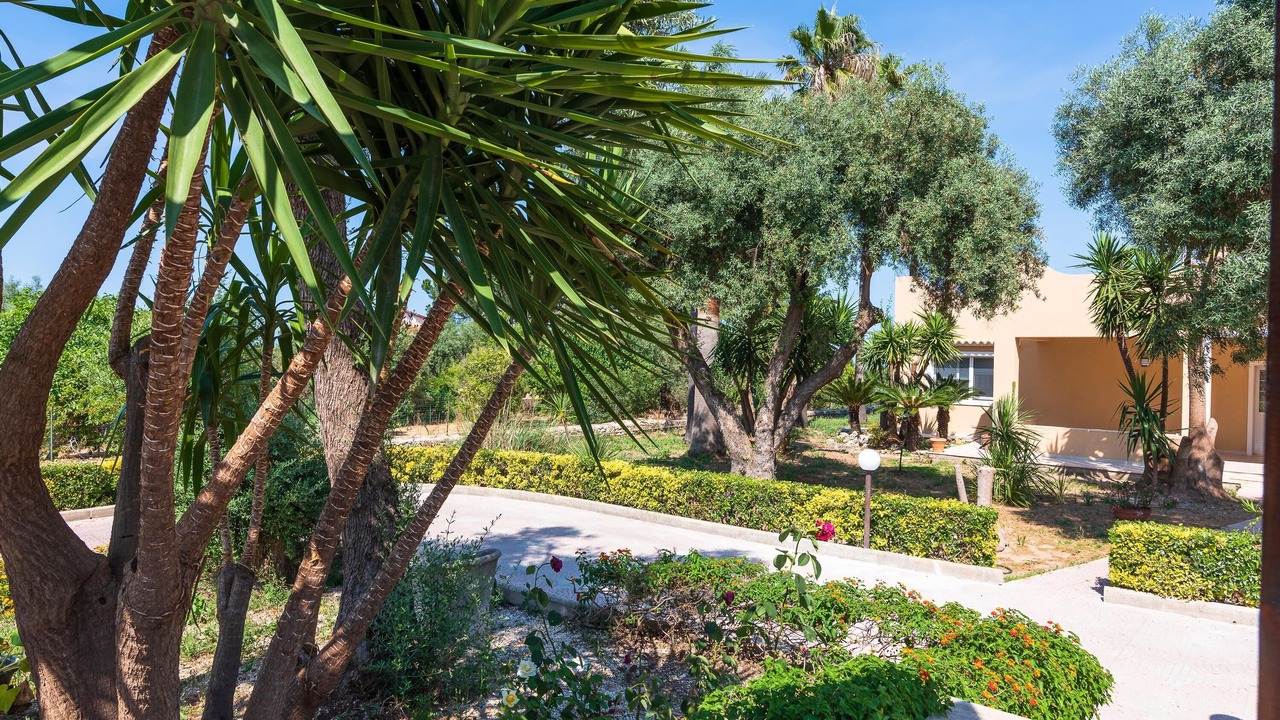 Photo of Outdoor in Belvedere
