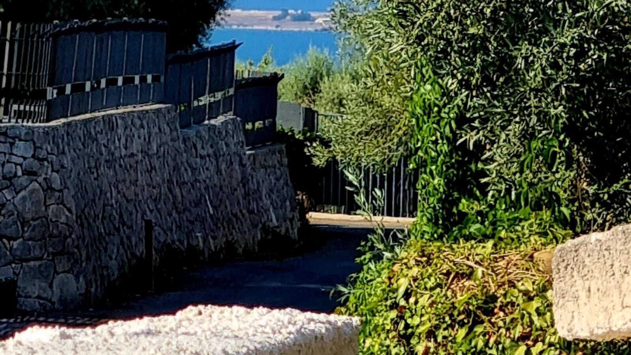 Photo of Outdoor in Belvedere