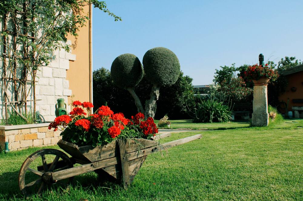 Photo of Outdoor in Casa Papa