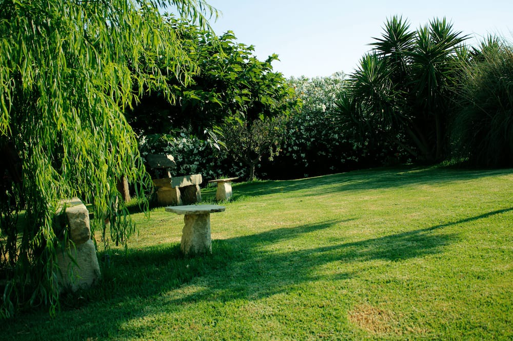 Photo of Outdoor in Casa Papa