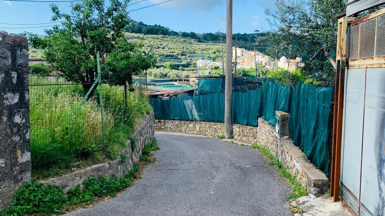 Photo of Others in Schiazzano