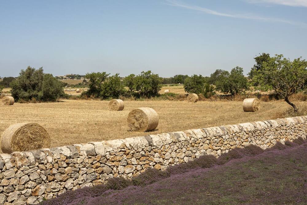 Photo of Outdoor in Ragusa