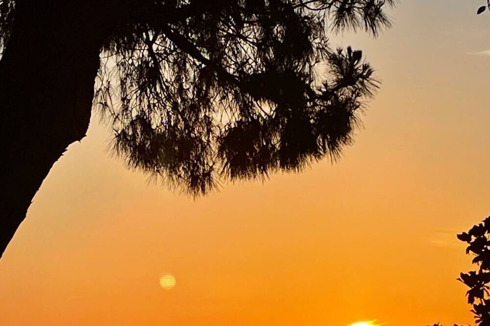 Photo of Outdoor in Malfa