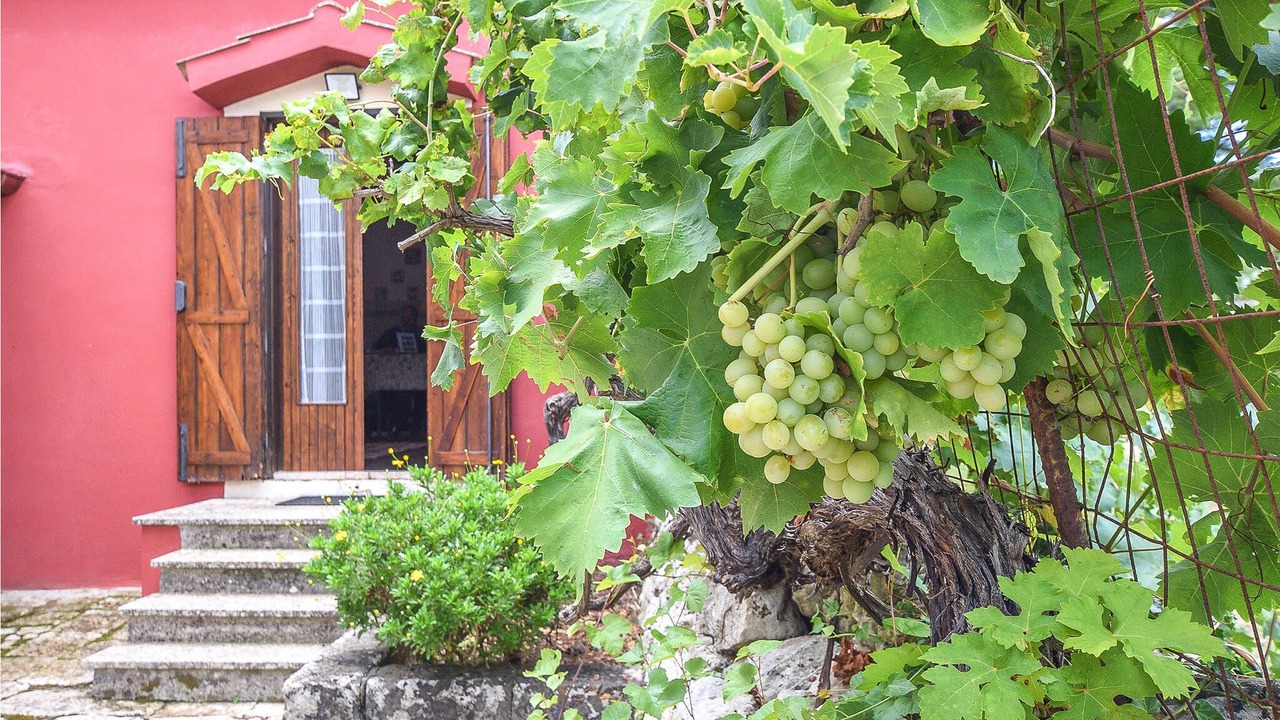 Photo of Outdoor in Noto
