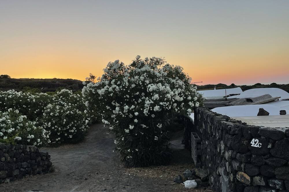 Photo of Outdoor in Kamma
