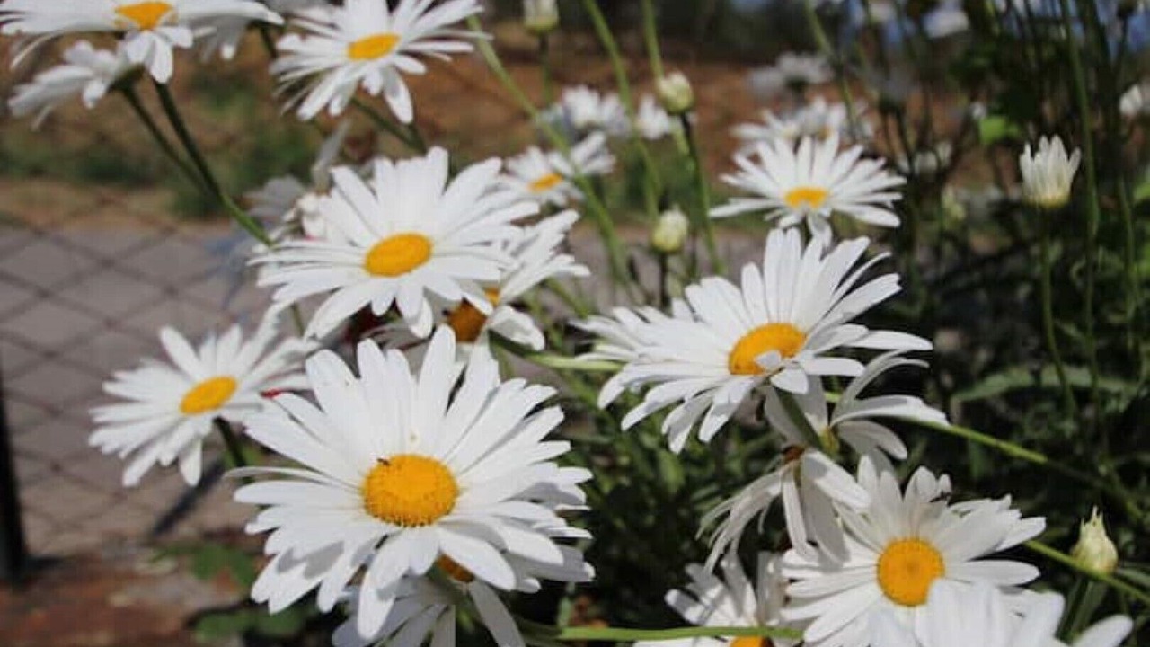 Photo of Outdoor in Naso