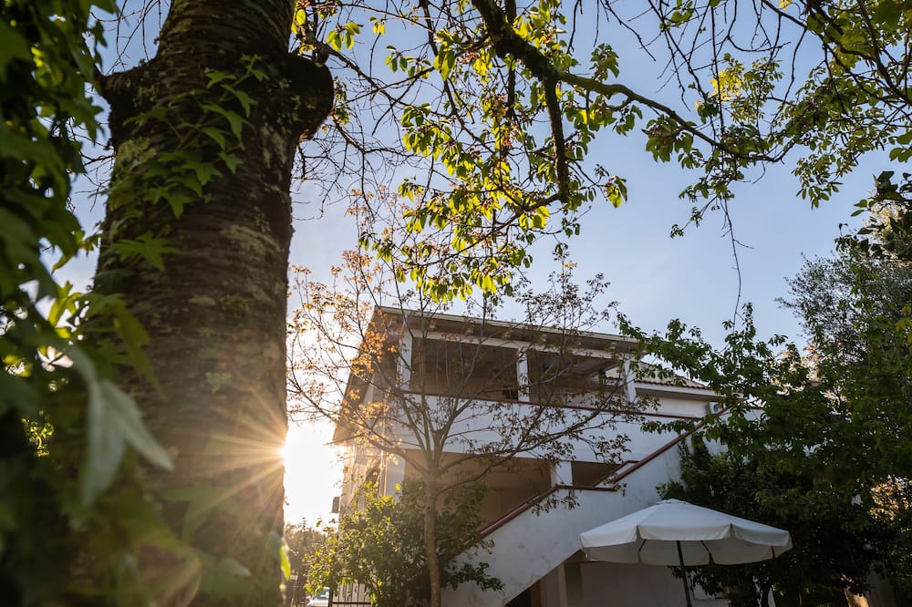 Photo of Outdoor in Jonadi
